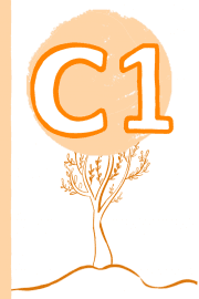 Список слів рівня C1